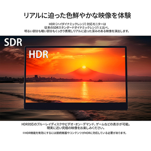 JAPANNEXT 15．6型タッチパネル対応液晶ディスプレイ ブラック JN-MD-IPS1563UHDR-T-イメージ6