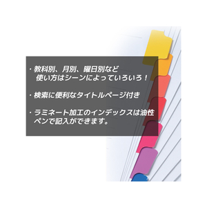 マルマン ラミネートタブインデックス クリアポケット用A4ワイド10山 30穴 1組 F821394-LT3010-イメージ3