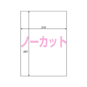 コクヨ プリンタを選ばないはかどりラベルA4 ノーカット100枚 F807767-KPC-E101-100N-イメージ2