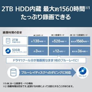 パナソニック 43V型4Kチューナー内蔵4K対応液晶テレビ【2TB HDD+ブルーレイレコーダー内蔵】 ビエラ TH-43MR770-イメージ9