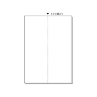 ヒサゴ マルチプリンタ帳票 A4 たて2面 100枚 FC91577-BP2073