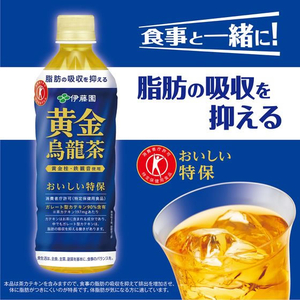 伊藤園 黄金烏龍茶 500ml×24本 FCA7412-イメージ2