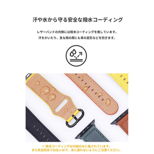 EGARDEN Apple Watch 49/46/45/44/42mm用バンド GENUINE LEATHER STRAP ディープグリーン EGD20589AW-イメージ12