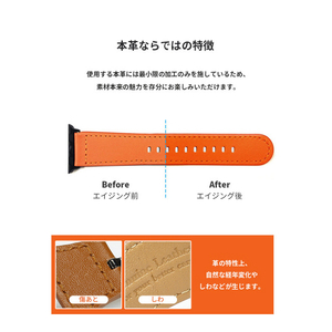 EGARDEN Apple Watch 49/46/45/44/42mm用バンド GENUINE LEATHER STRAP ディープグリーン EGD20589AW-イメージ6