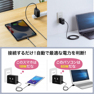 サンワサプライ USB PD対応AC充電器(PD65W・Type-Cケーブル付き) ACA-PD91BK-イメージ12