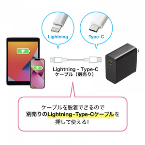 サンワサプライ USB PD対応AC充電器(PD65W・Type-Cケーブル付き) ACA-PD91BK-イメージ13