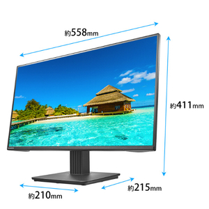 I・Oデータ 24．5型液晶ディスプレイ(抗菌モデル)受注生産品 ブラック LCD-C251SH-AG-イメージ2