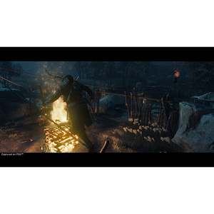 SIE Ghost of Tsushima Director’s Cut【PS5】 ECJS00011-イメージ10