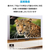 Anker Nebula 4K Streaming Dongle D0480511-イメージ2