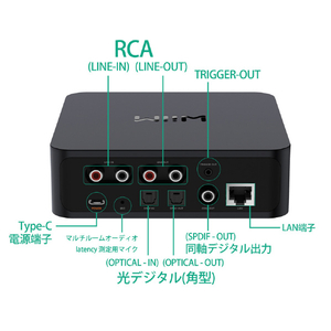 WiiM ネットワークストリーマー WIIMPROPLUS-イメージ19