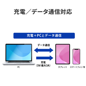 I・Oデータ Lightning⇒Type-C変換アダプター ブラック GP-LCAH/B-イメージ4