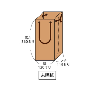 スーパーバッグ ボトル用手提袋 KRAFT B-110Φ 25枚 FC93085-383926-イメージ2