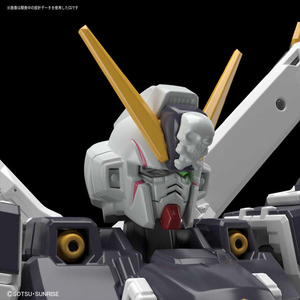 バンダイスピリッツ RG 1/144 クロスボーン・ガンダムX1 RG31ｸﾛｽﾎﾞ-ﾝｶﾞﾝﾀﾞﾑ-イメージ6