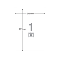 エーワン IJ用ラベルA4 ノーカット 100枚 F814525-28908