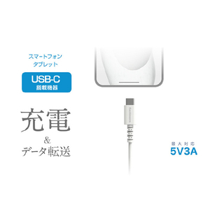 カシムラ Type-C USB充電&同期ケーブル(1．2m) ホワイト AJ-640-イメージ4