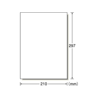 エーワン ラベルシール A4 ノーカット 22枚 F859354-72201
