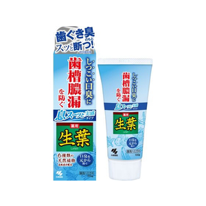 小林製薬 生葉I 息スーッと実感 100g FCB8967-イメージ1