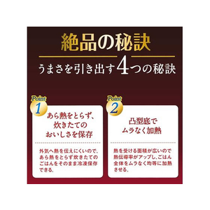 エビス パックスタッフ絶品ごはん保存容器大盛2個入 FCD0096-PPS-6211-イメージ2