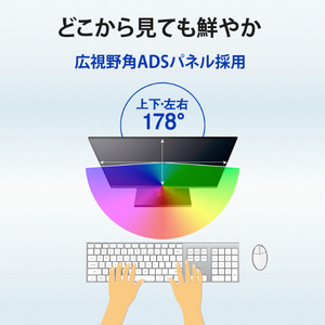 I・Oデータ 23．8型ワイド液晶ディスプレイ LCD-D241SD-F/S-イメージ9