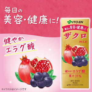 伊藤園 ザクロmix 紙パック 200ml FCA7243-62245-イメージ2