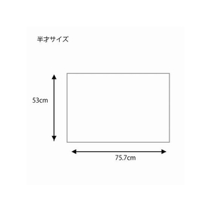 ヘイコー 包装紙 半才 呉服A 100枚 FC054SC-002307400-イメージ4