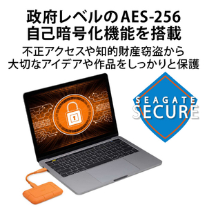 LACIE Rugged SSD(1TB) STHR1000800-イメージ4