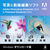 Adobe Photoshop & Premiere Elements 2024 Windows DL版[Win ダウンロード版] DLPHSPPREMELE24WDL-イメージ1