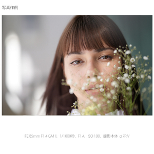 SONY デジタル一眼カメラα[Eマウント]用レンズ FE 85mm F1.4 GM II SEL85F14GM2-イメージ8