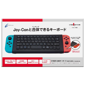 サイバーガジェット USBキーボード(SWITCH用) ブラック CYNSUSKBBK-イメージ1