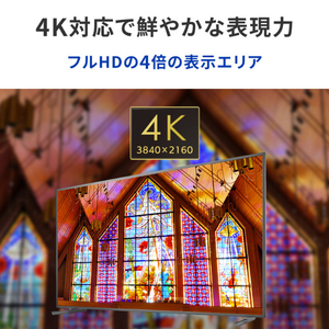 I・Oデータ 65型4K液晶ディスプレイ LCD-U651D-イメージ4