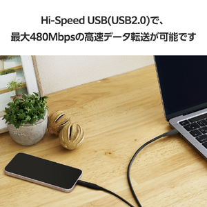 エレコム USB変換アダプター(USB Type-Cポート - Lightningプラグ) ブラック MPA-CFLMBK-イメージ6