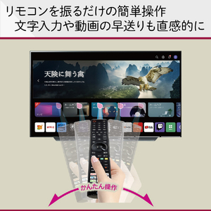 LGエレクトロニクス 50V型4Kチューナー内蔵4K対応液晶テレビ 50QNED80TJA-イメージ10