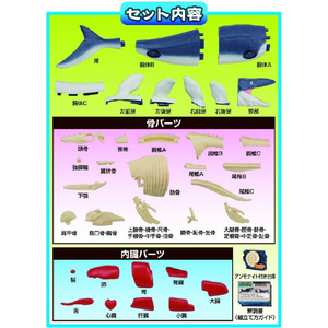 メガハウス モササウルス復元パズル ｶｲﾀｲﾊﾟｽﾞﾙﾓｻｻｳﾙｽﾌｸｹﾞﾝ-イメージ12