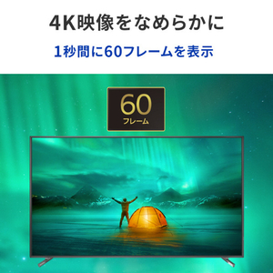 I・Oデータ 65型4K液晶ディスプレイ (抗菌モデル) LCD-U651D-AG-イメージ5