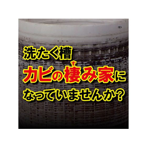 エステー 洗浄力洗たく槽クリーナー2P1100g FC456RH-イメージ2