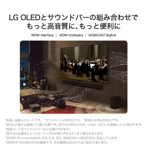 LGエレクトロニクス 65V型4Kチューナー内蔵4K対応有機ELテレビ OLED65M4PJA.AJLG-イメージ13