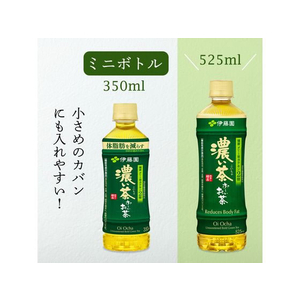 伊藤園 お～いお茶濃い茶 350ml×48本 FCV1515-イメージ2