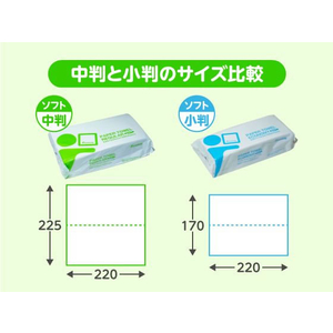 Forestway Forestway ペーパータオル エコノミー ソフトタイプ 200枚×48パック 1箱(48パック) FC453MR-FRW174744-イメージ4