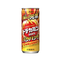 アサヒ飲料 ドデカミン 250ml FC662PW