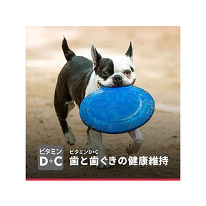 日本ヒルズ・コルゲート サイエンス・ダイエット アダルト 小型犬成犬用 3kg FC327PJ-605013-イメージ7