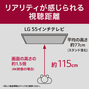 LGエレクトロニクス 55V型4Kチューナー内蔵4K対応液晶テレビ 55QNED80TJA-イメージ12