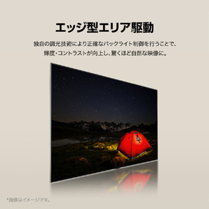 LGエレクトロニクス 43V型4Kチューナー内蔵4K対応液晶テレビ 43QNED80TJA-イメージ3