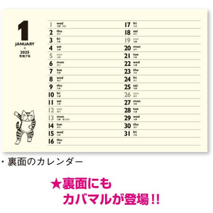 新日本カレンダー 卓上 招福ねこ暦 2025年 FC049SK-NK8515-イメージ3