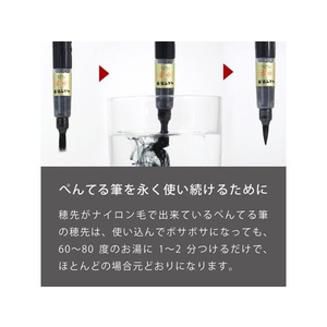 ぺんてる ぺんてる筆 顔料インキ 中字 F597754-XFP5M-イメージ6