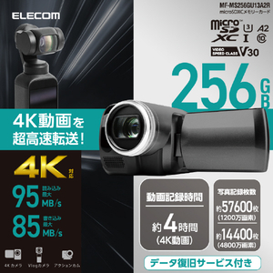 エレコム データ復旧microSDXCメモリーカード U3 V30(256GB) ブラック MF-MS256GU13A2R-イメージ3