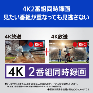 パナソニック 48V型4Kチューナー内蔵4K対応有機ELテレビ VIERA TH-48MZ1800-イメージ19