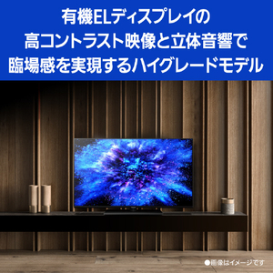 パナソニック 48V型4Kチューナー内蔵4K対応有機ELテレビ VIERA TH-48MZ1800-イメージ20