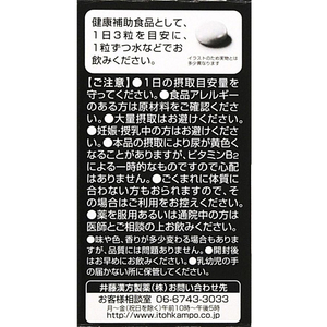 井藤漢方製薬 国産 無臭にんにく 400mg×90粒 FC971MS-イメージ3