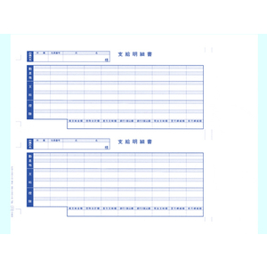 OBC 単票支給明細書 6101 1000枚 F846896-6101-イメージ1