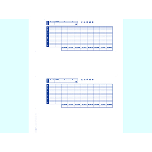 OBC 単票封筒用支給明細書 6202 300枚 F846900-6202-イメージ1